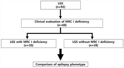 Therapeutic outcome of patients with Lennox–Gastaut syndrome with mitochondrial respiratory chain complex I deficiency